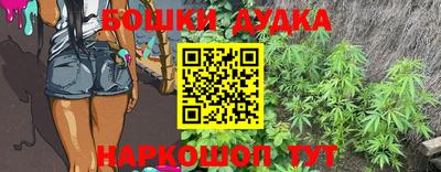 индика Пушкино